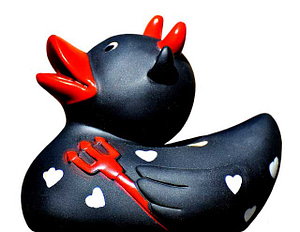 Schwarze Dreizack Ente