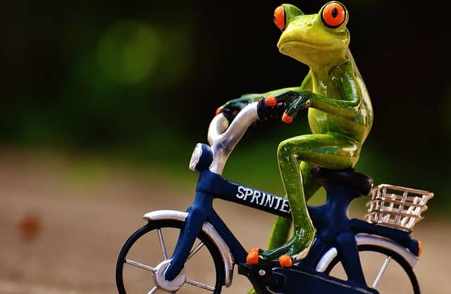 Figur Frosch auf einem Fahrrad